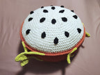 Dragonfruit Slice Pillow