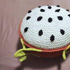 Dragonfruit Slice Pillow