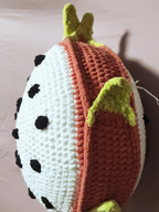 Dragonfruit Slice Pillow