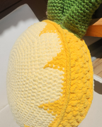 Pineapple Slice Pillow