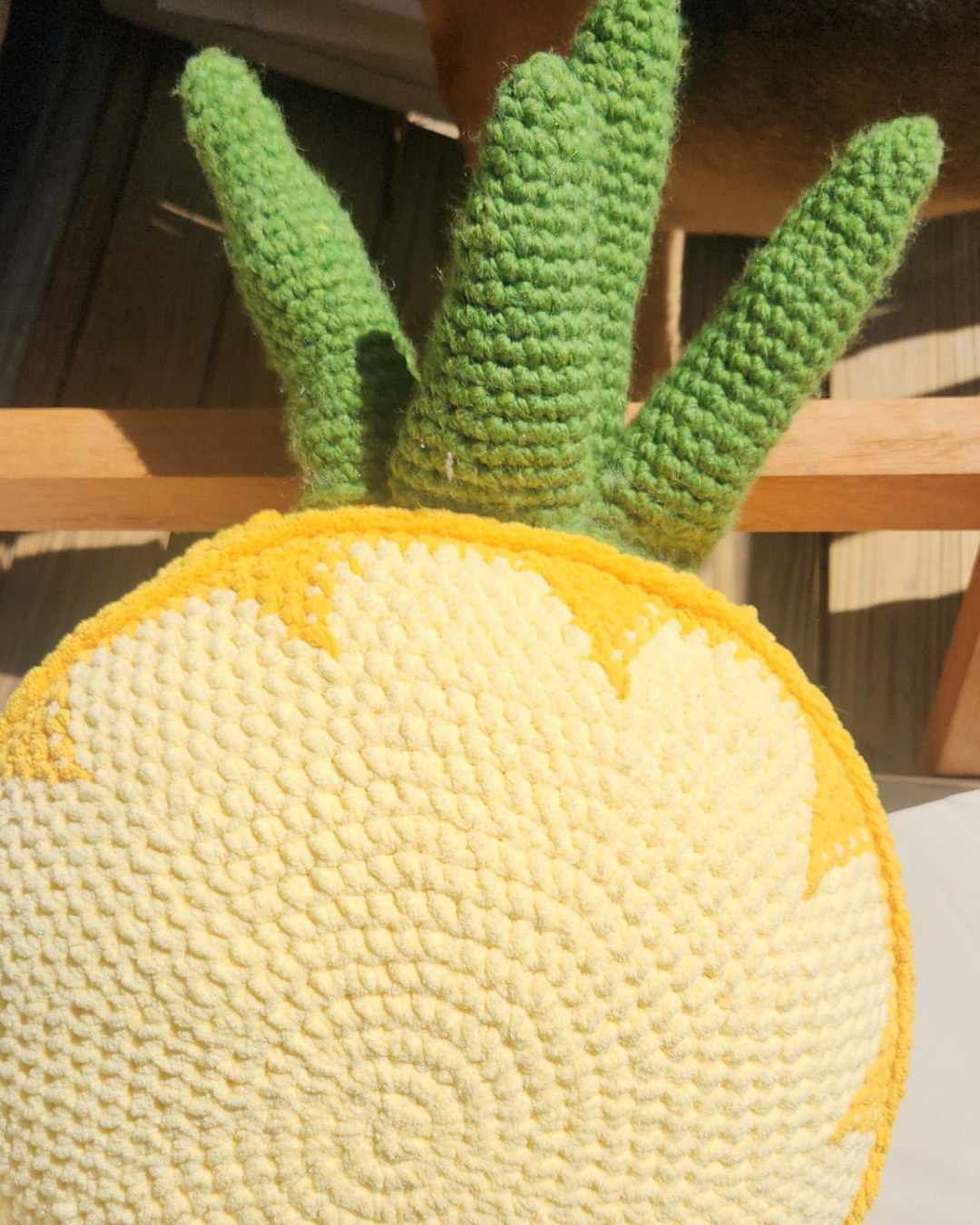 Pineapple Slice Pillow