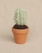 Prickly Pal Tall Barrel Cactus