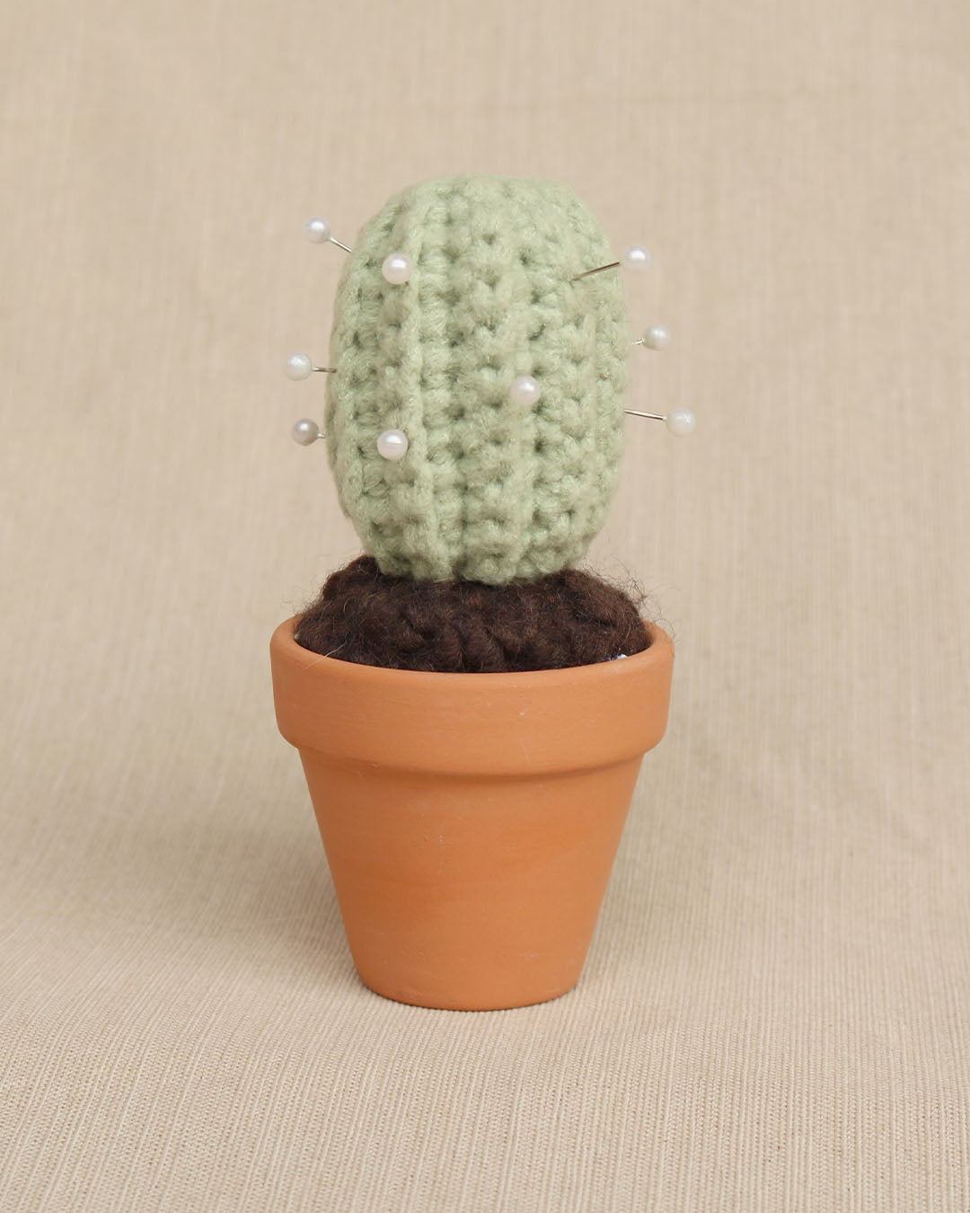 Prickly Pal Tall Barrel Cactus