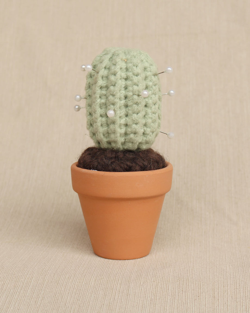 Prickly Pal Tall Barrel Cactus