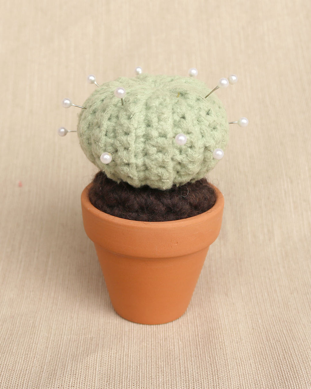 Prickly Pal Barrel Cactus