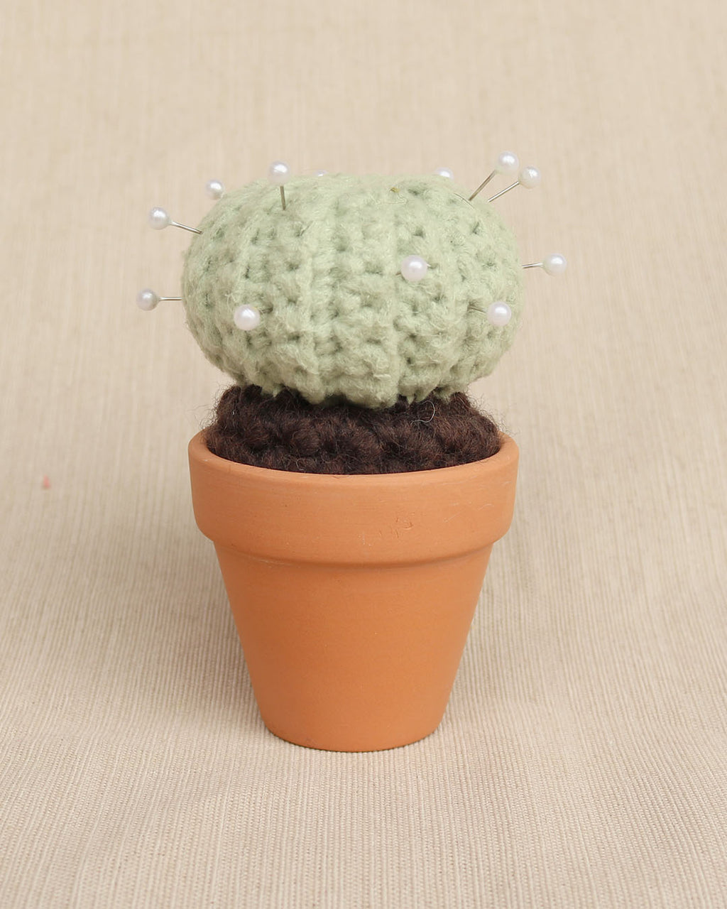 Prickly Pal Barrel Cactus