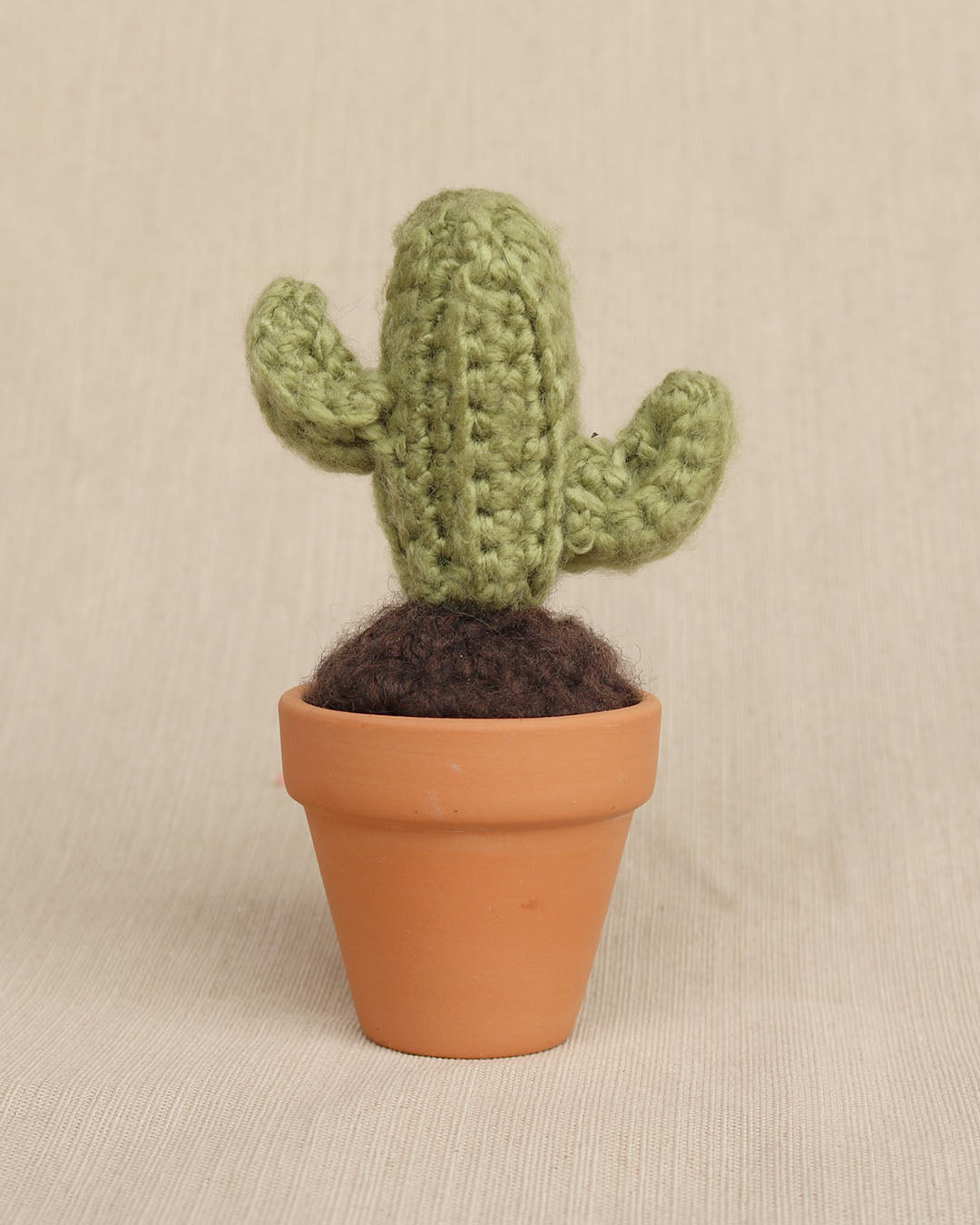 Mini Saguaro Cactus